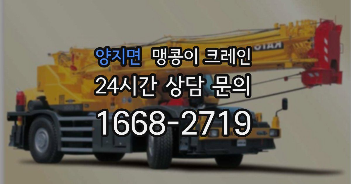 양지면 맹콩이 크레인