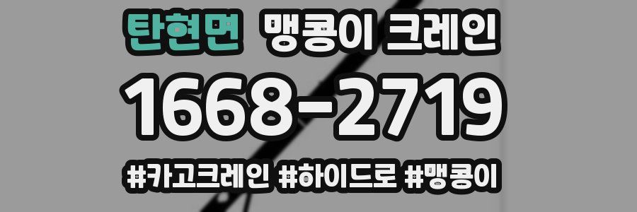 탄현면 맹콩이 크레인