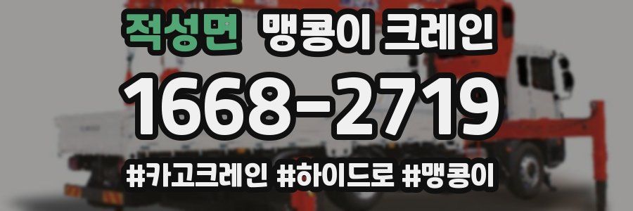 적성면 맹콩이 크레인