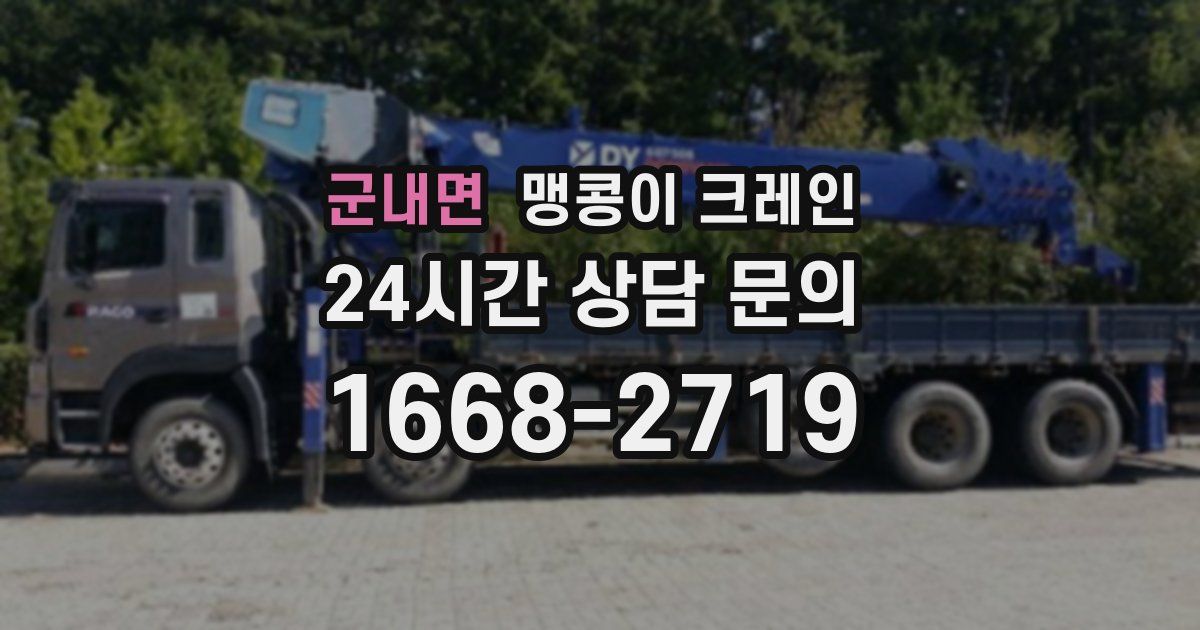 군내면 맹콩이 크레인