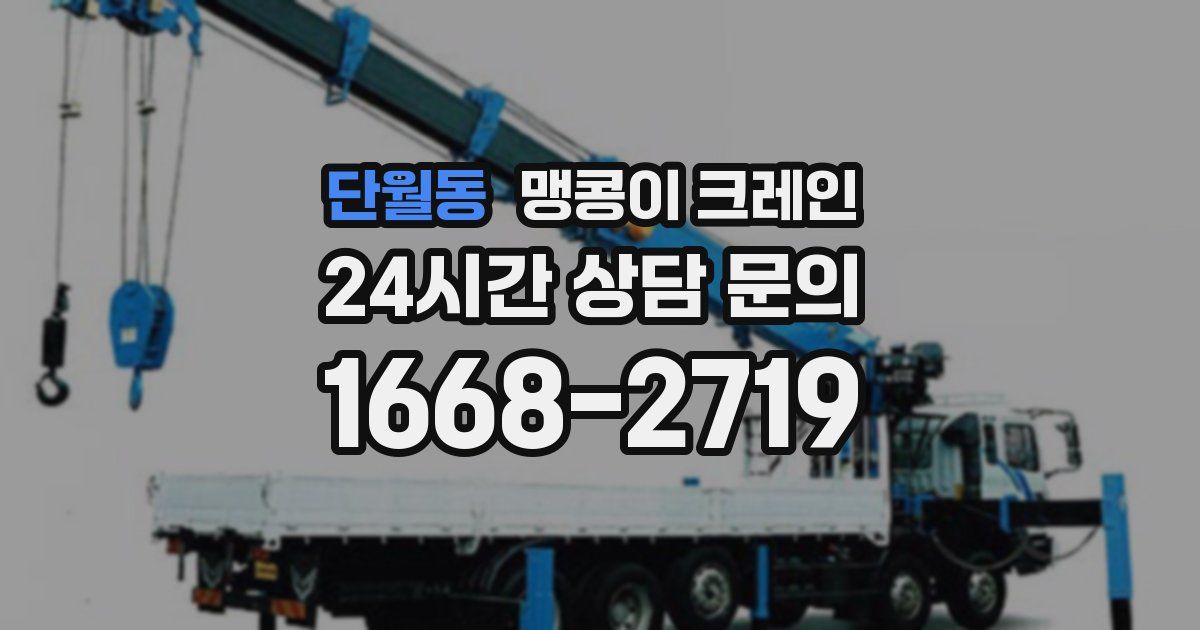 단월동 맹콩이 크레인
