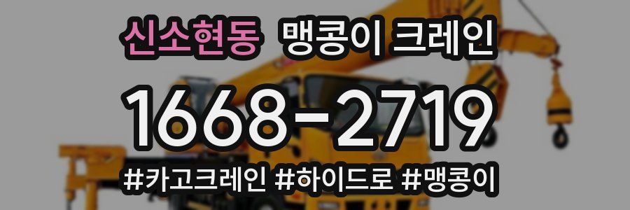 신소현동 맹콩이 크레인