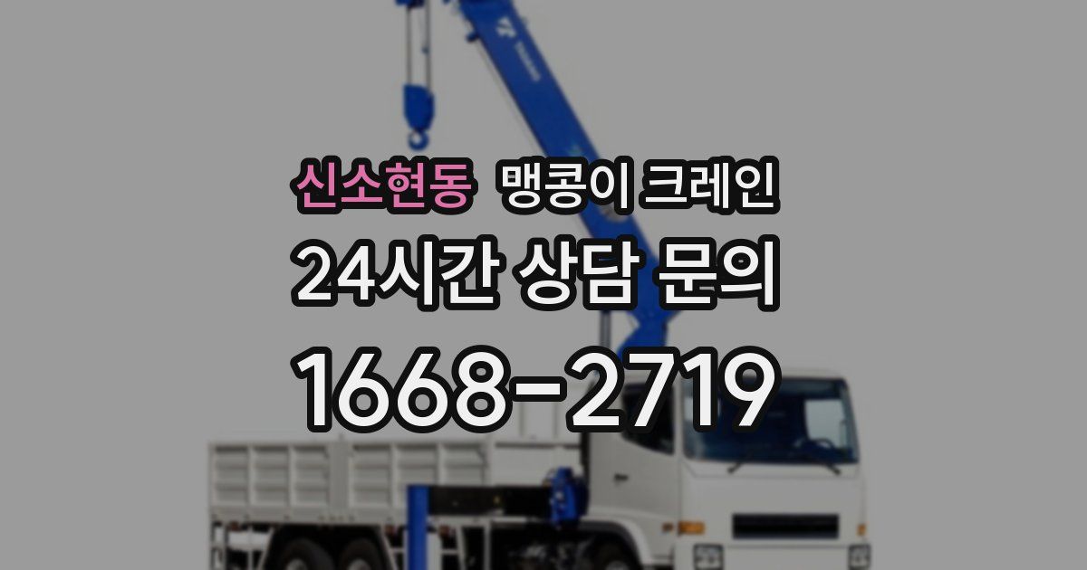 신소현동 맹콩이 크레인