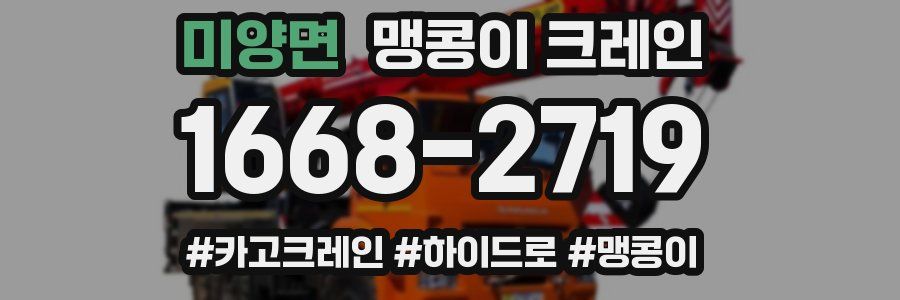 미양면 맹콩이 크레인