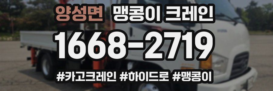 양성면 맹콩이 크레인