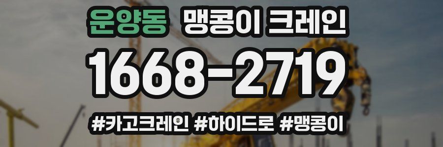 운양동 맹콩이 크레인