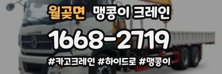 월곶면 맹콩이 크레인