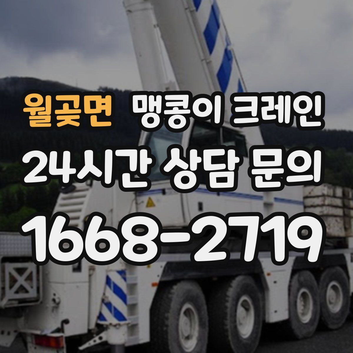 월곶면 맹콩이 크레인
