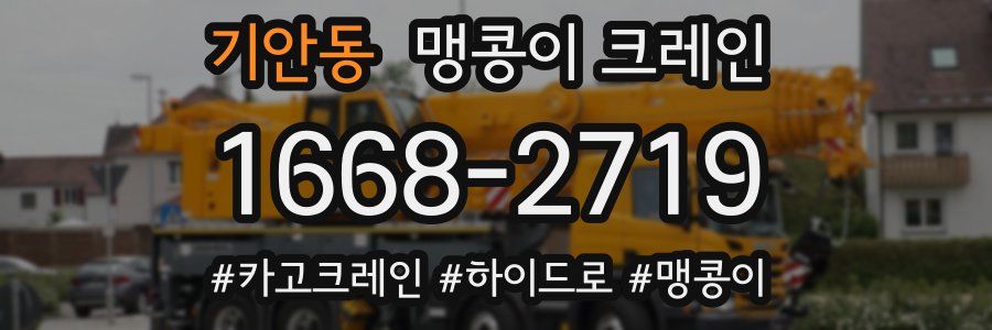 기안동 맹콩이 크레인