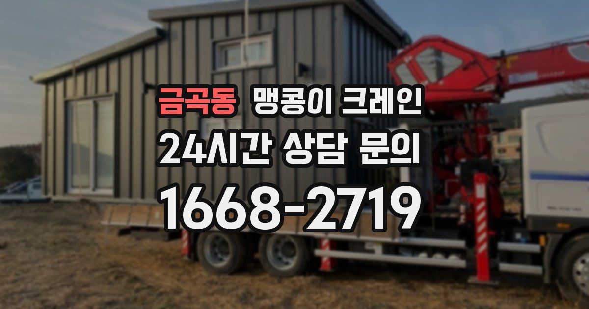 금곡동 맹콩이 크레인
