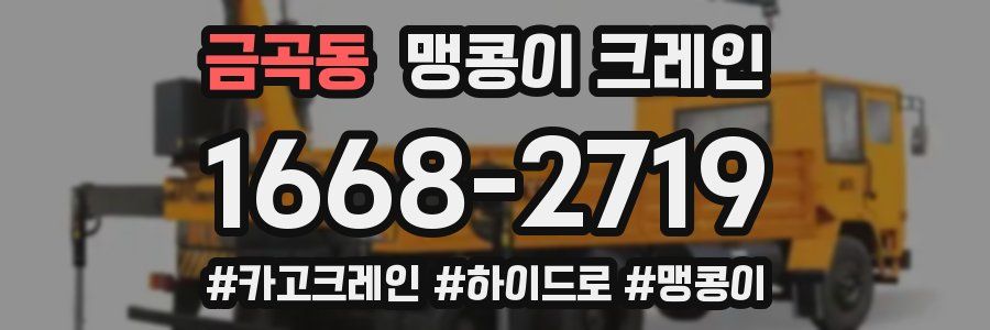 금곡동 맹콩이 크레인