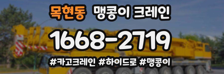 목현동 맹콩이 크레인
