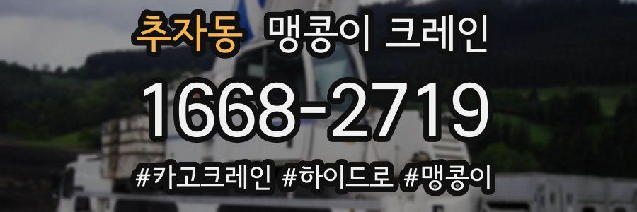 추자동 맹콩이 크레인