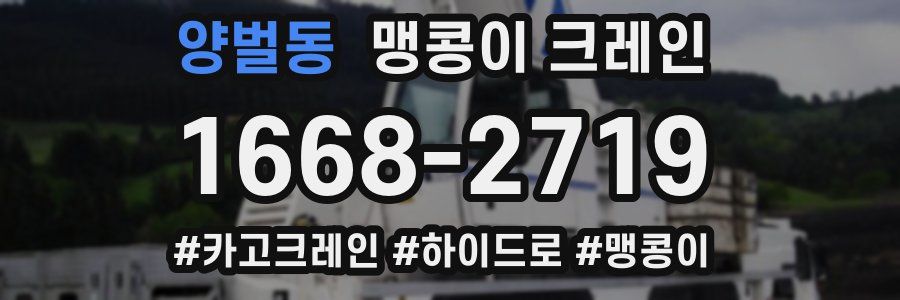 양벌동 맹콩이 크레인