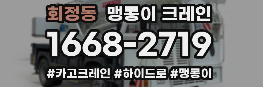 회정동 맹콩이 크레인