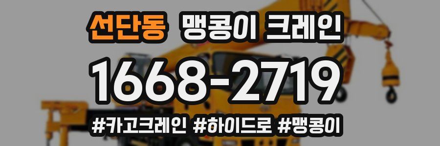 선단동 맹콩이 크레인