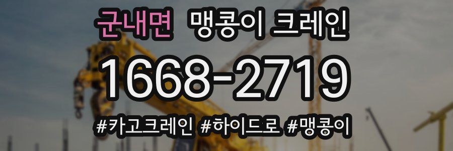 군내면 맹콩이 크레인