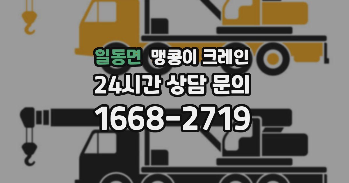 일동면 맹콩이 크레인