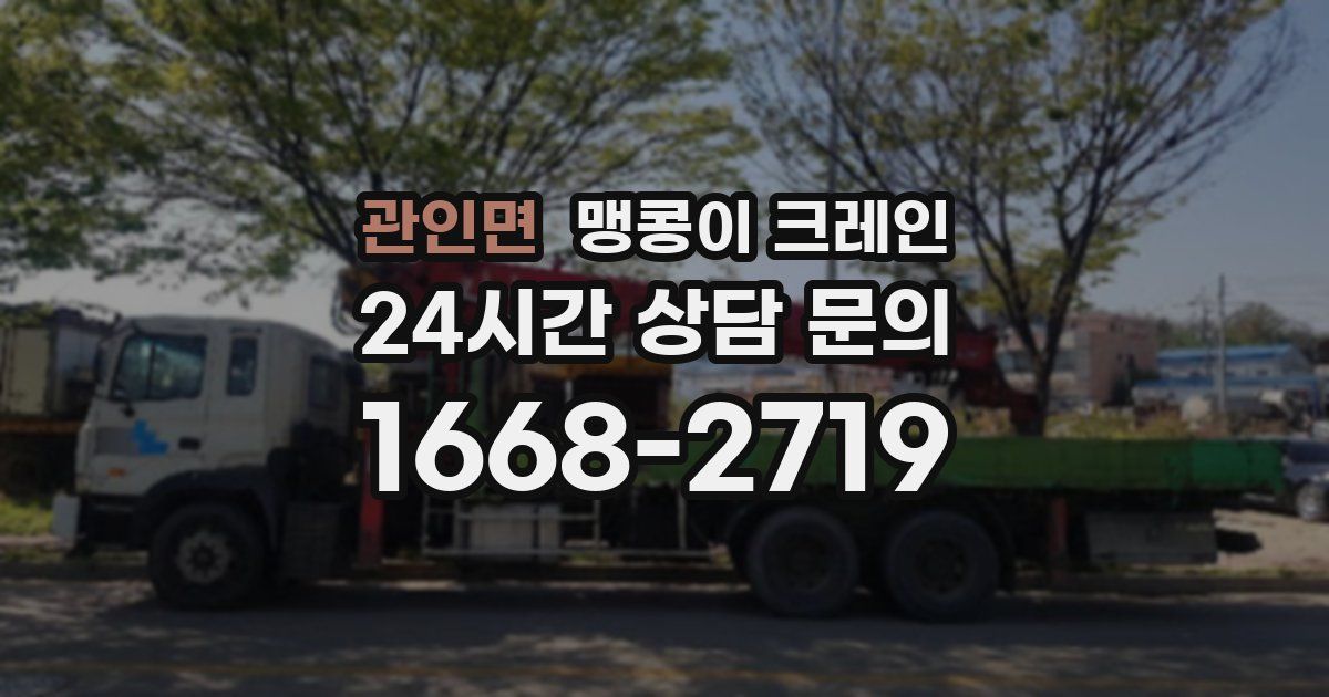 관인면 맹콩이 크레인