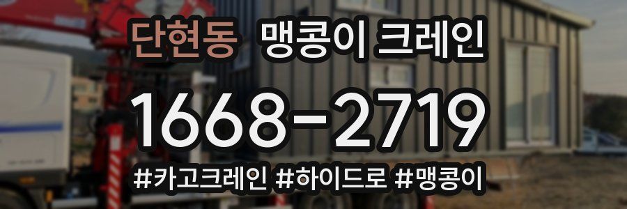 단현동 맹콩이 크레인