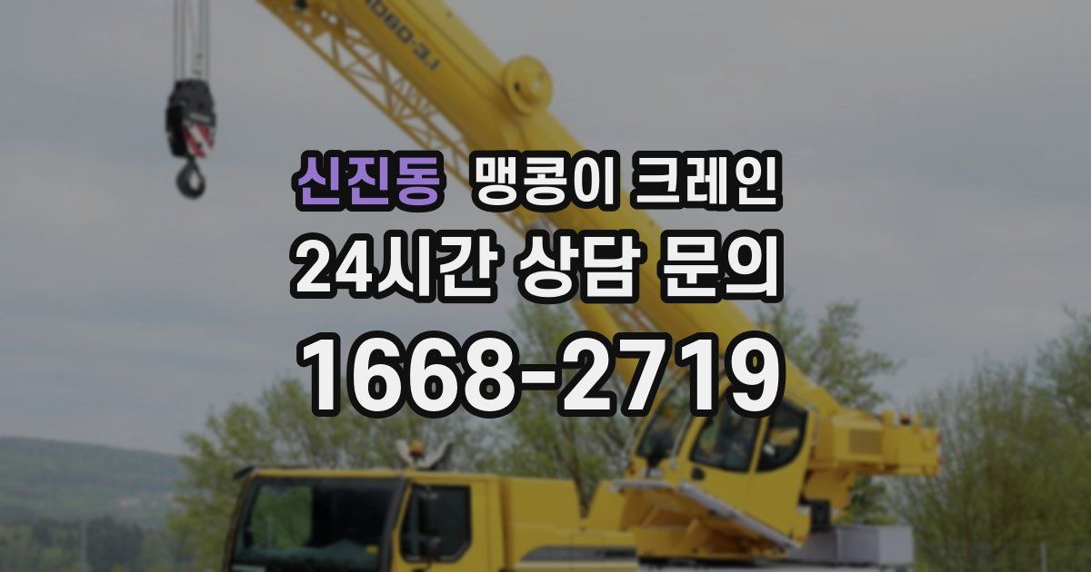 신진동 맹콩이 크레인