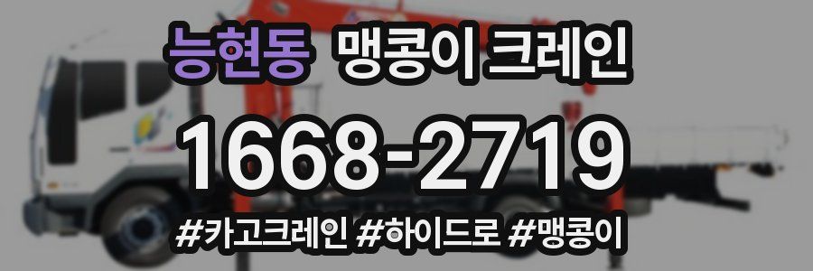 능현동 맹콩이 크레인