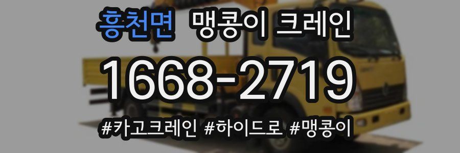 흥천면 맹콩이 크레인