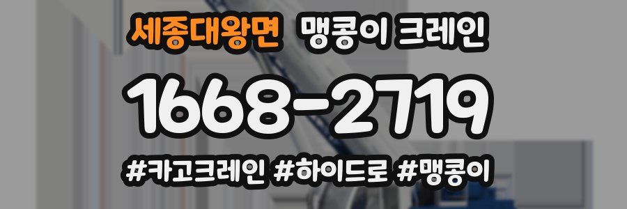 세종대왕면 맹콩이 크레인