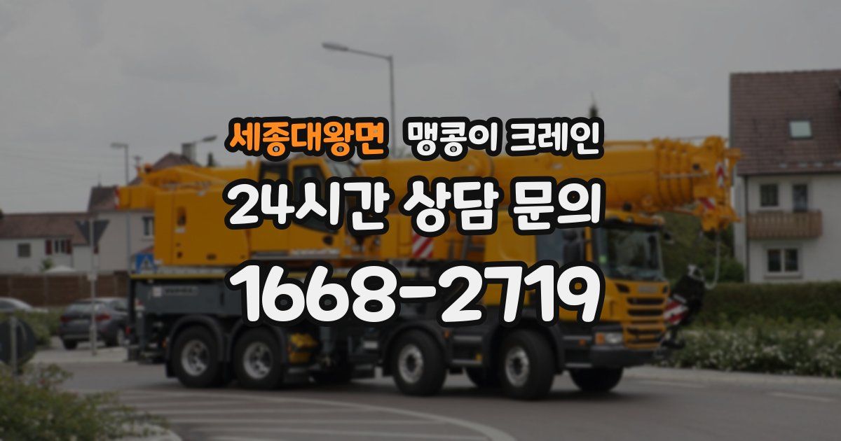 세종대왕면 맹콩이 크레인