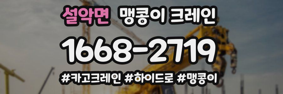 설악면 맹콩이 크레인