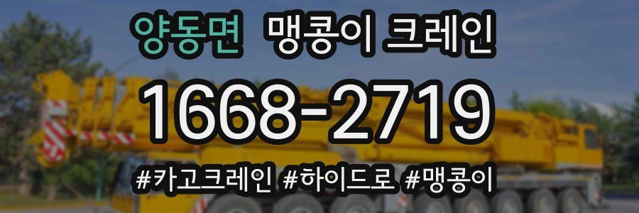 양동면 맹콩이 크레인
