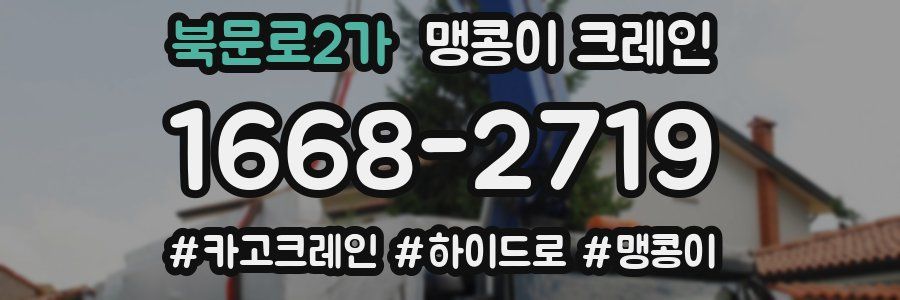 북문로2가 맹콩이 크레인