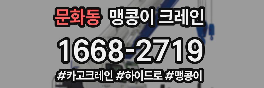 문화동 맹콩이 크레인