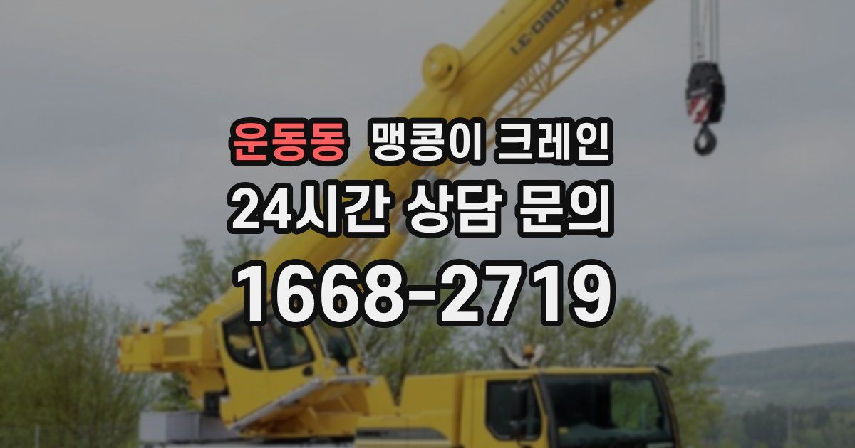 운동동 맹콩이 크레인