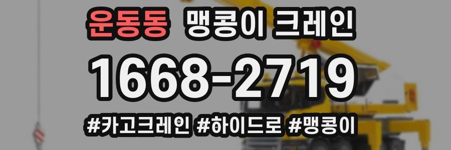 운동동 맹콩이 크레인