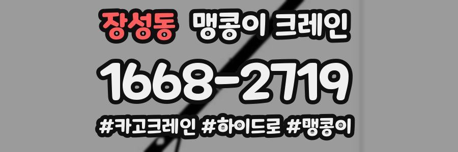 장성동 맹콩이 크레인