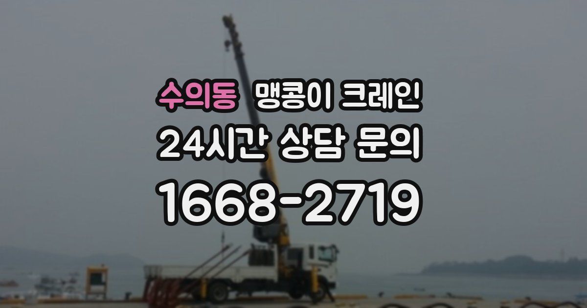 수의동 맹콩이 크레인