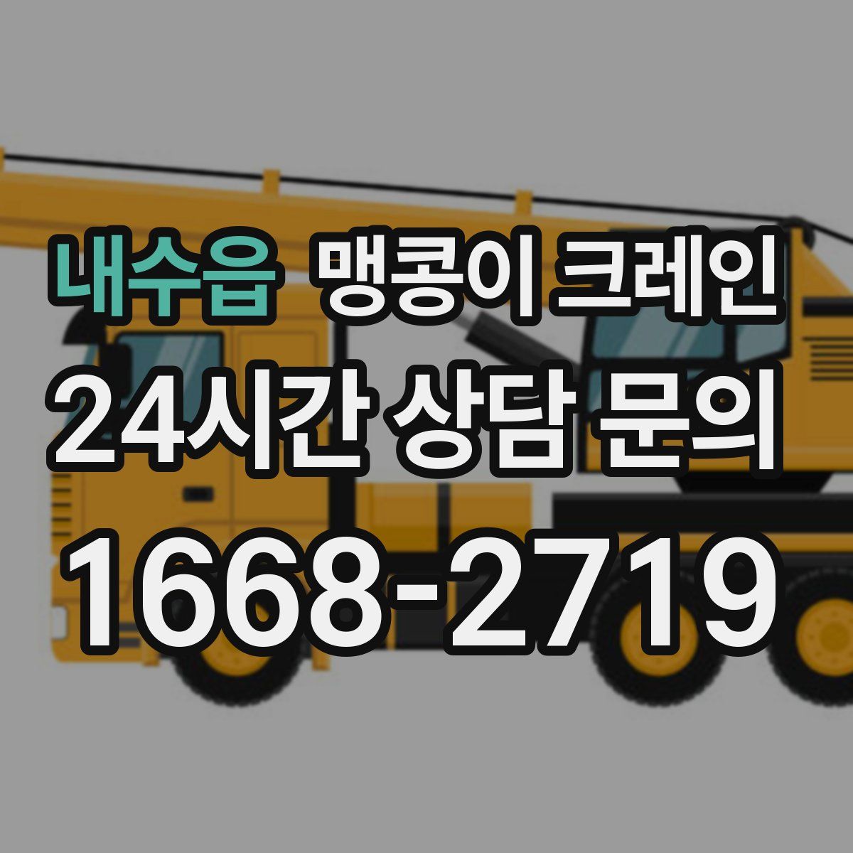 내수읍 맹콩이 크레인