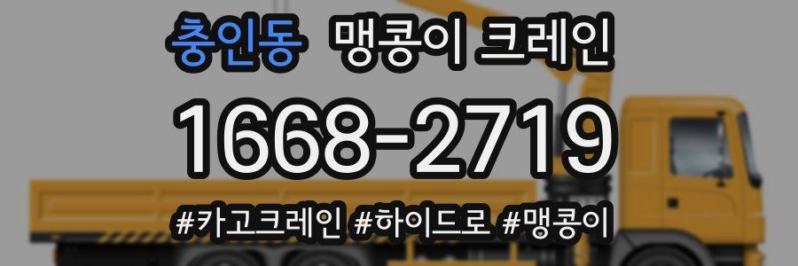 충인동 맹콩이 크레인