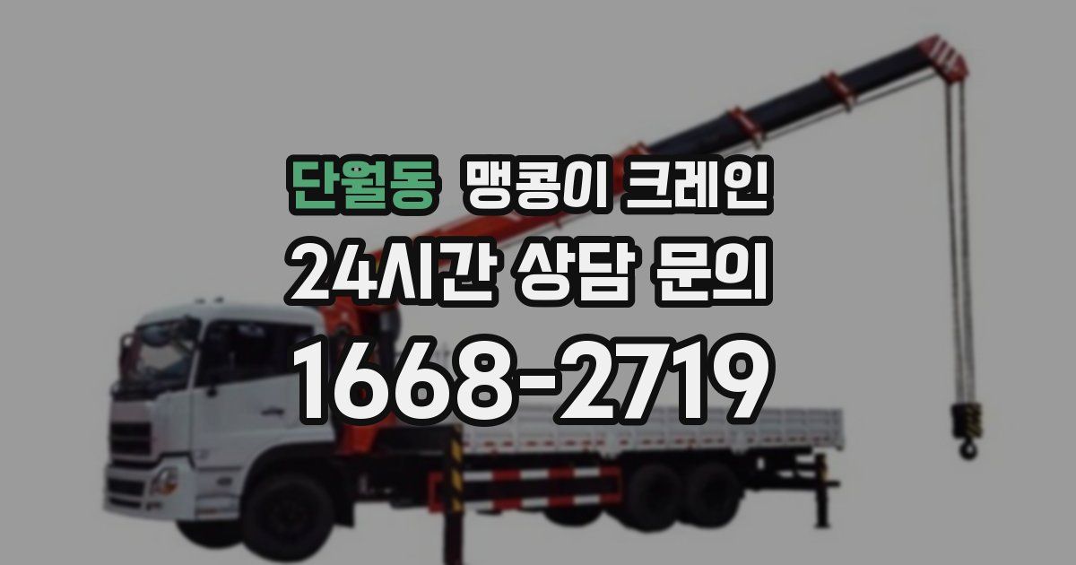 단월동 맹콩이 크레인