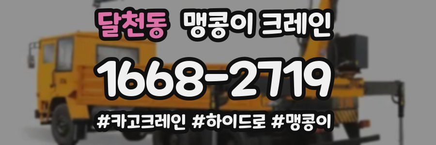 달천동 맹콩이 크레인
