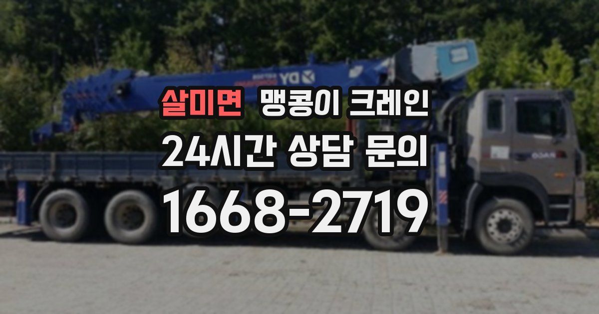 살미면 맹콩이 크레인