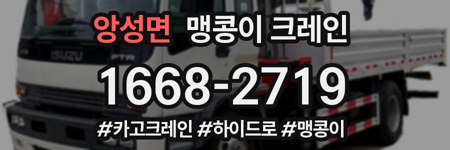 앙성면 맹콩이 크레인