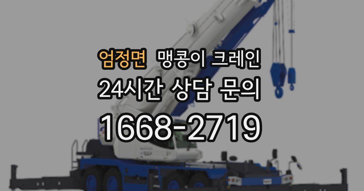 엄정면 맹콩이 크레인