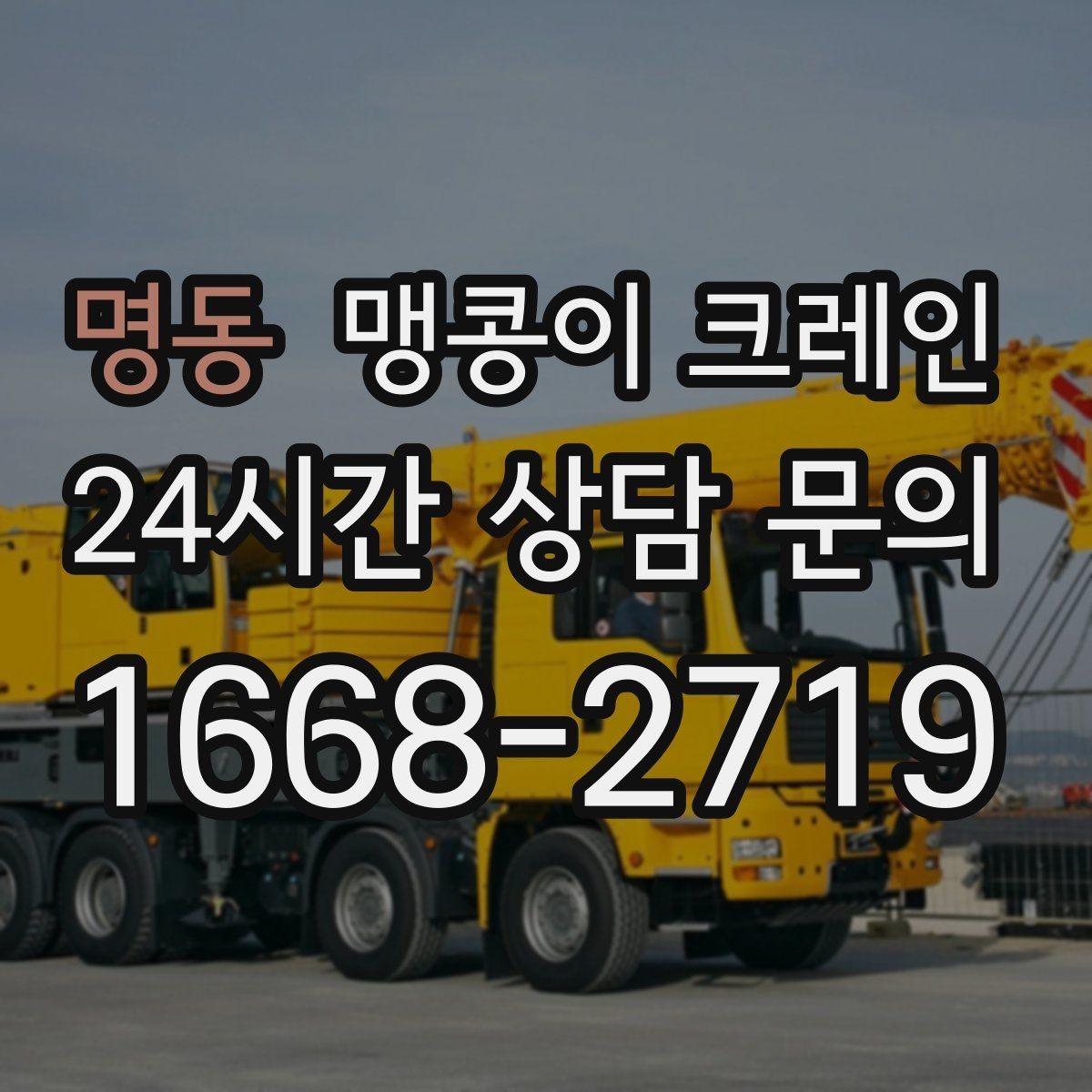 명동 맹콩이 크레인 컨테이너 내부 장비 반입에 적합한 이유