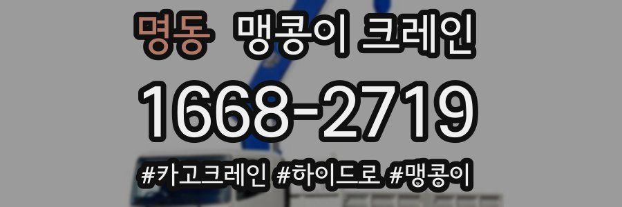 명동 맹콩이 크레인
