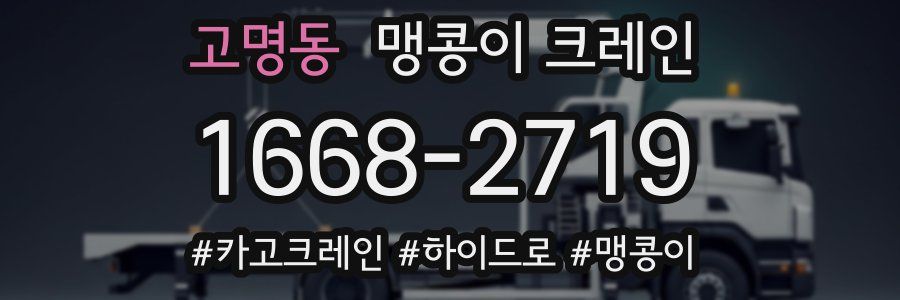 고명동 맹콩이 크레인