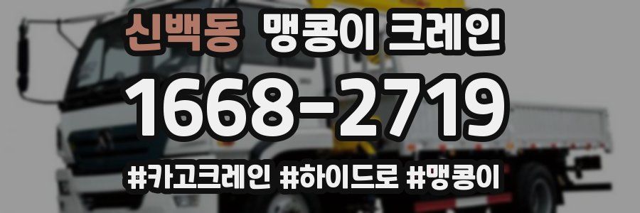 신백동 맹콩이 크레인