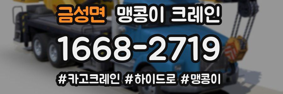 금성면 맹콩이 크레인