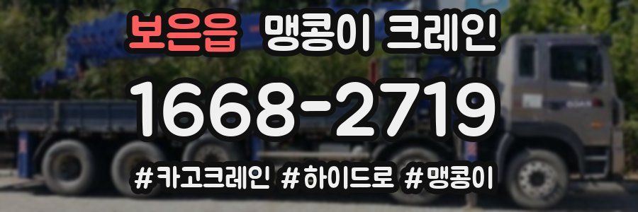 보은읍 맹콩이 크레인